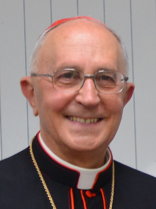 I've been having a look at the list of cardinals in the frame for the next #Pope, and it's not looking great.
Hopefully I can get one of these lookalikes elected and continue my undercover Papacy!