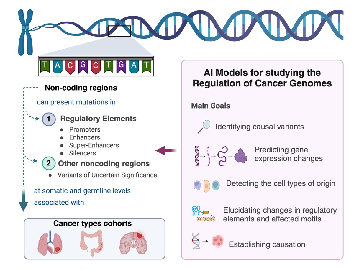 María del Mar Álvarez-Torres (@maryalvarez_cu) on Twitter photo 📢Our latest review compares leading AI models that are illuminating noncoding genomes in cancer. If you’re a cancer researcher, this guide is your key resource for integrating these tools.
Check out the online-first version in <a href="/CR_AACR/">Cancer Research</a> aacrjournals.org/cancerres/arti… 📢Our latest review compares leading AI models that are illuminating noncoding genomes in cancer. If you’re a cancer researcher, this guide is your key resource for integrating these tools.
Check out the online-first version in <a href="/CR_AACR/">Cancer Research</a> aacrjournals.org/cancerres/arti…