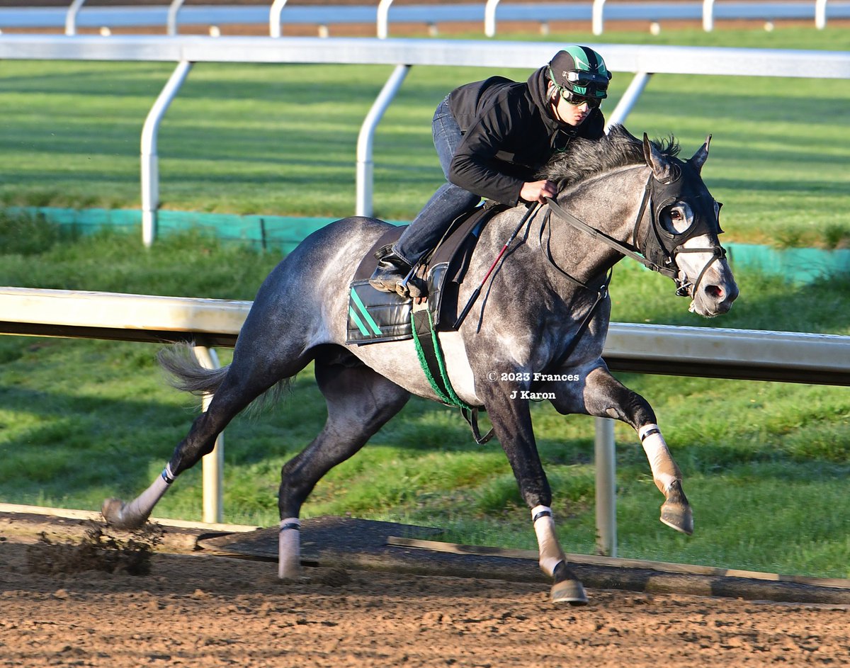 Frances J Karon (@francesjkaron) on Twitter photo KY Oaks filly Quietside (Malibu Moon) being ponied by her trainer <a href="/johnnyortiz24/">ORTIZ RACING STABLES</a> on his G1-placed pony Barber Road (Race Day) at Keeneland. Her rider Daniel Ortiz also rode Barber Road (pic from two years ago, also at Keeneland). KY Oaks filly Quietside (Malibu Moon) being ponied by her trainer <a href="/johnnyortiz24/">ORTIZ RACING STABLES</a> on his G1-placed pony Barber Road (Race Day) at Keeneland. Her rider Daniel Ortiz also rode Barber Road (pic from two years ago, also at Keeneland).