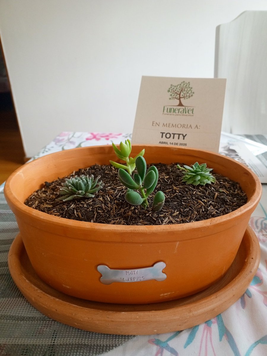 A una Semana de tu partida, vuelves a casa.
Totty!