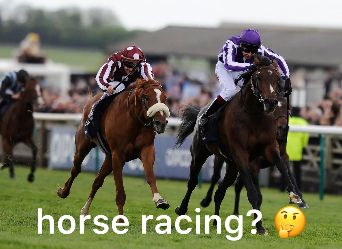 Back Nine tweet media