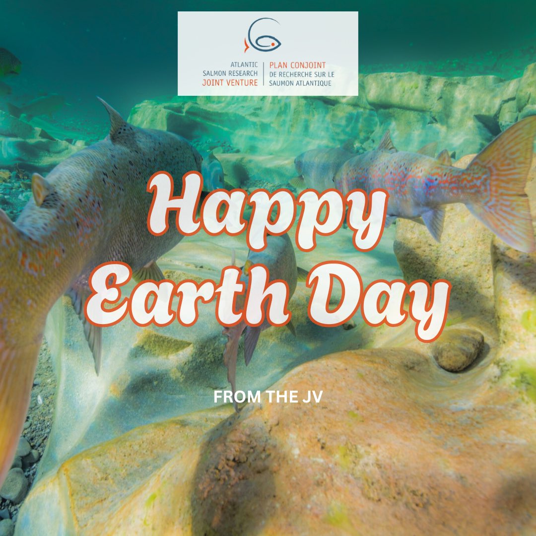 Happy Earth Day!

Let’s remember that today is Earth Day, a day to appreciate the planet we live on. 

Take some time to really reflect and be grateful for everything the earth has given us, including Atlantic salmon! 🍃🌎