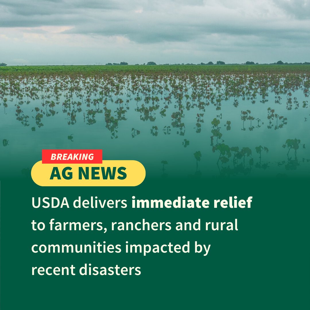 🚨AG ALERT: Secretary Rollins delivers disaster relief to rural communities ⬇️ usda.gov/about-usda/new…