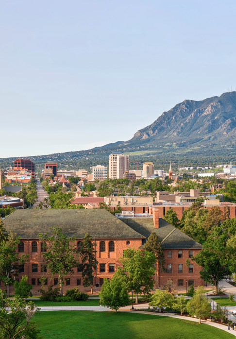 CC Tiger Athletics tweet media