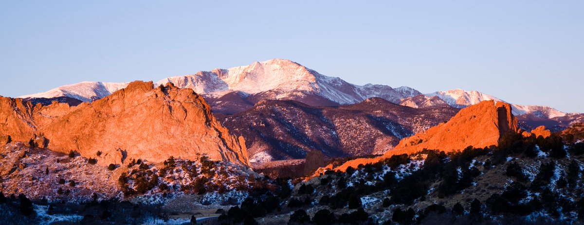 CC Tiger Athletics tweet media