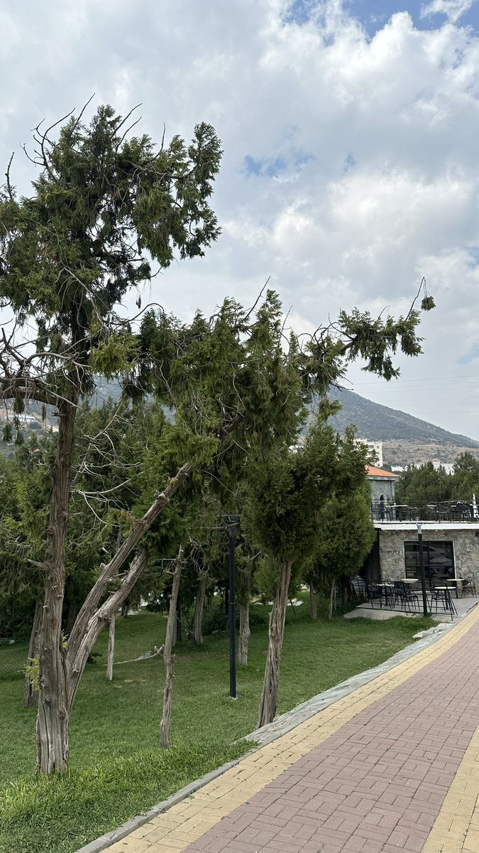 F9But's tweet image. 