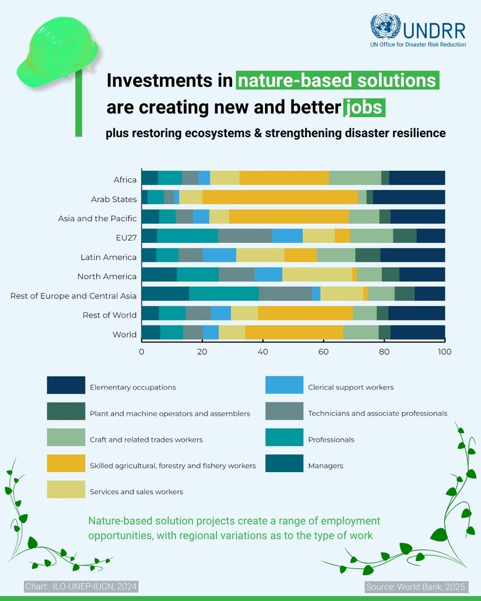 UNDRR's tweet image. 🌿 Nature-based solutions = resilience + jobs.

With $10B+ in @WorldBank &amp;amp; @GFDRR financing, @ILO estimates 63M new #NatureBasedSolutions jobs by 2030.

Opportunities for work with mangroves, urban trees, terracing, land restoration, skills training

➡️ow.ly/8pYH50VEsff