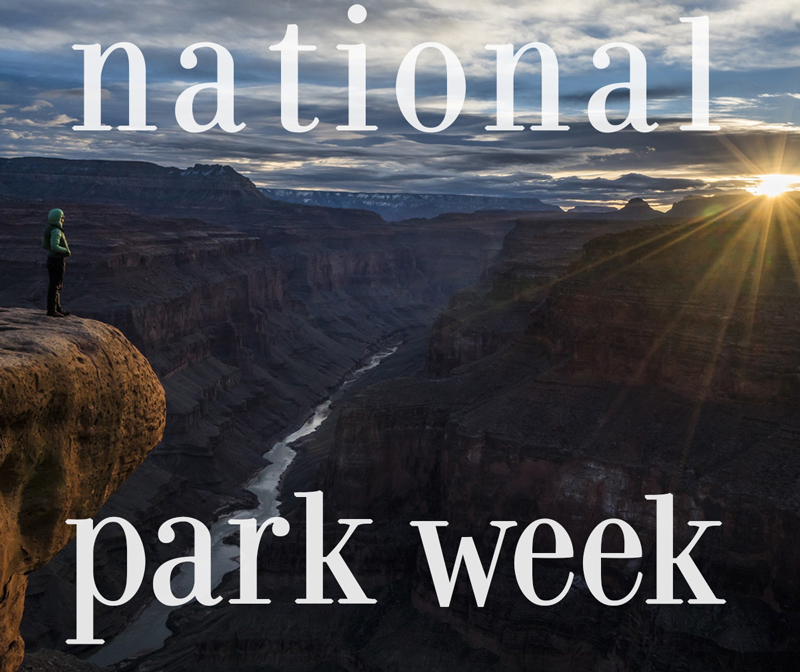 Celebrate #EarthDay and #NationalParkWeek (April 19-27) with a screening of a documentary from the Bullfrog Films catalog! Browse the films: conta.cc/42N4xvd #nationalparkservice #conservation