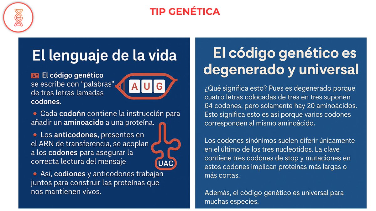 NefroGetafe (@nefrogetafe) on Twitter photo ✍️✍️¿Sabes cómo se traduce el código de la vida? 🧬¿Qué son los codones y anticodones? No te suena de nada?? Mira que papel tan importante juegan👇👇<a href="/SENefrologia/">S.E.N. Nefrología</a> <a href="/SOMANEorg/">Sociedad Madrileña de Nefrología (SOMANE)</a> <a href="/BGFOURNIER/">Belén Gil Fournier</a> #Nefrogenética #HospitaldeGetafe ✍️✍️¿Sabes cómo se traduce el código de la vida? 🧬¿Qué son los codones y anticodones? No te suena de nada?? Mira que papel tan importante juegan👇👇<a href="/SENefrologia/">S.E.N. Nefrología</a> <a href="/SOMANEorg/">Sociedad Madrileña de Nefrología (SOMANE)</a> <a href="/BGFOURNIER/">Belén Gil Fournier</a> #Nefrogenética #HospitaldeGetafe