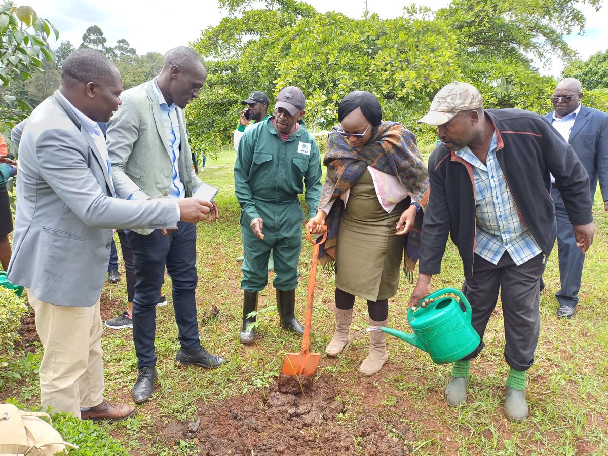 Our power..our planet.planet earth plays a crucial role in our wellbeing and more so our water ecosystem. it's protection is not a choice but a responsibility..No planet B..happy earth day #EarthDay2025 <a href="/Africa_WaterAmb/">Africa Water Ambassadors</a> <a href="/nairobi_rivers/">Nairobi Rivers Commission</a> <a href="/WWF_Kenya/">WWF-Kenya</a>  <a href="/county/">county</a>