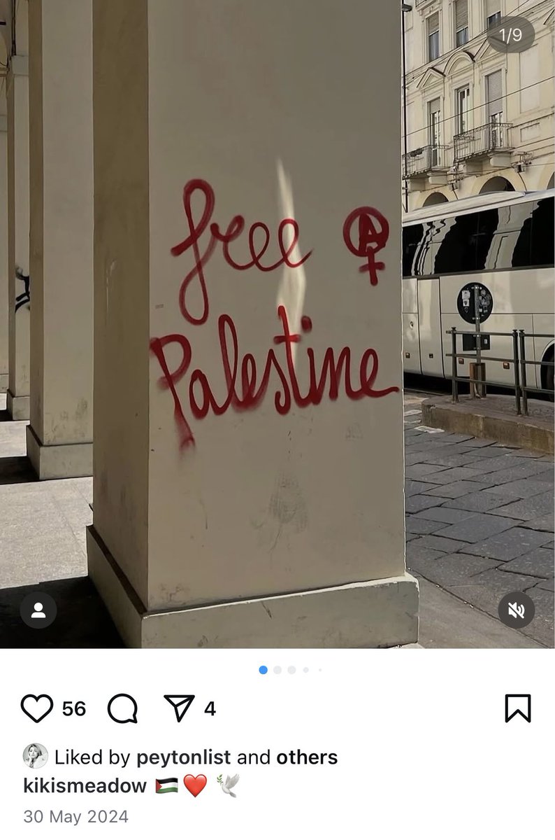 nsllms's tweet photo. @itsbluebeetle Peyton could do more to speak out on Palestine, but I feel like to be fair to her, she does like pro-Palestine and anti-genocide posts, which is more than could be said for a lot of the ck cast. https://t.co/EIKMtyr4be