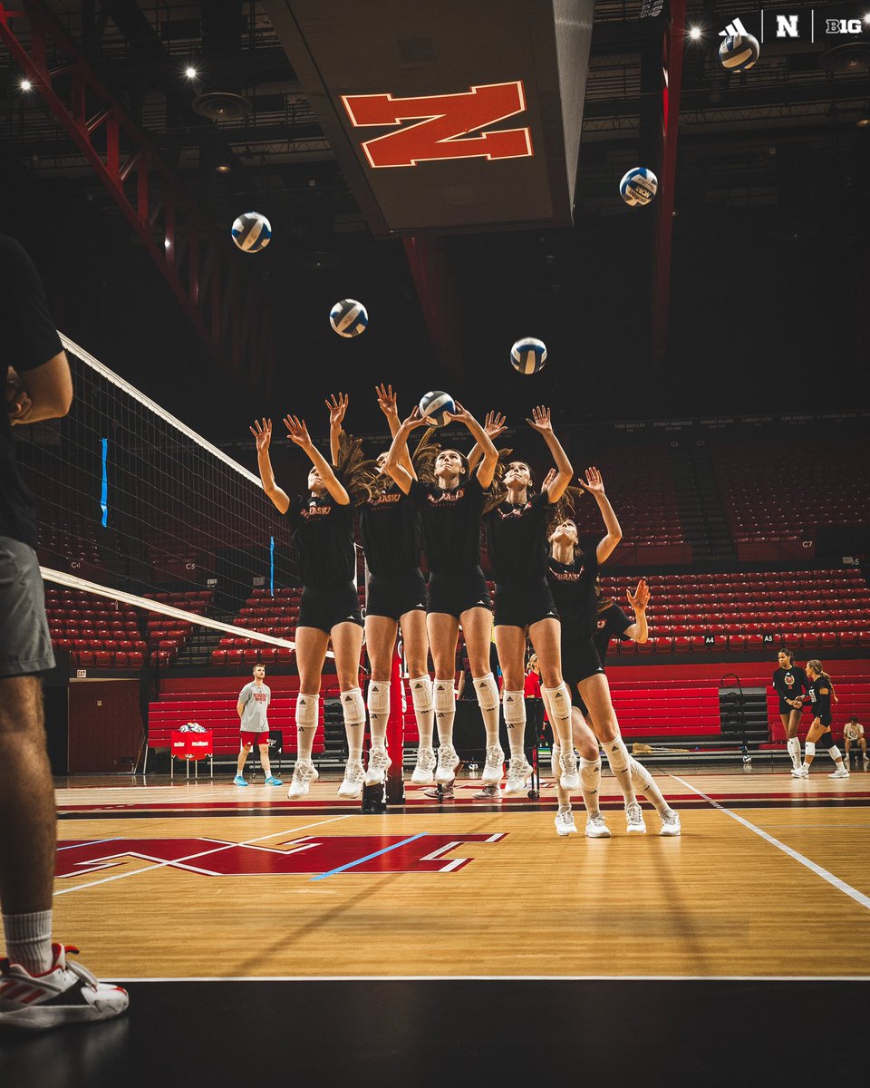 Poetry in motion 🪶