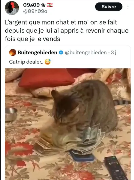 Padamazing tweet media