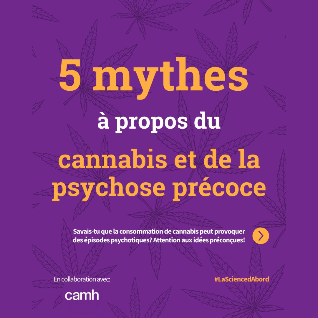 Le cannabis peut provoquer des épisodes psychotiques, une perte de contact avec la réalité caractérisée par des hallucinations, des délires et des changements dans la pensée et le comportement.

On fait le point sur 5 mythes 👉 scienceupfirst.com/sante-mentale/…

#LaSciencedAbord