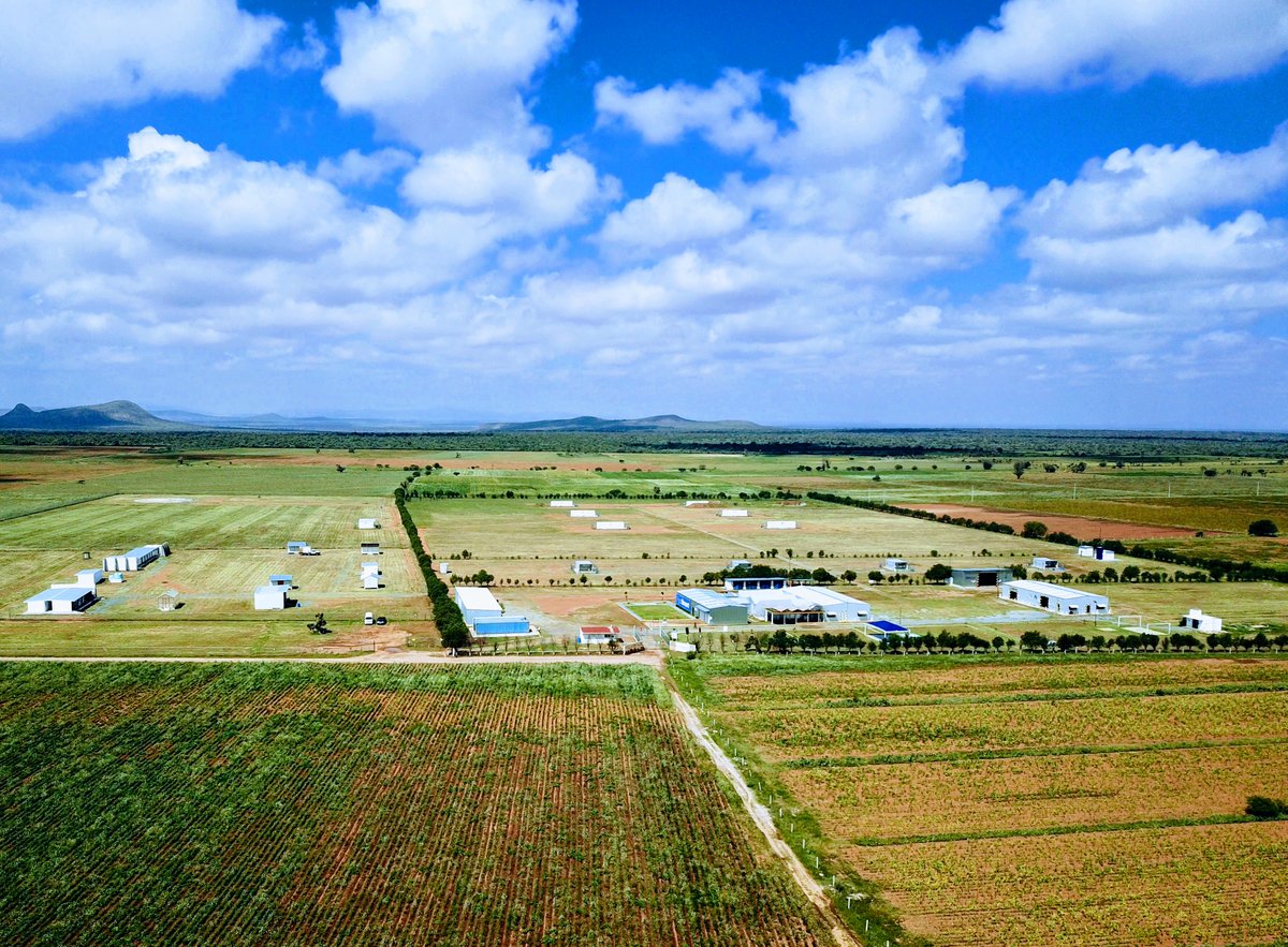 En el Día Internacional de la Tierra reafirmamos nuestro compromiso con la innovación y la sostenibilidad. Cada paso que damos está enfocado en proteger nuestro planeta, desarrollando soluciones tecnológicas seguras, responsables y de bajo impacto. ¡Juntos podemos construir un