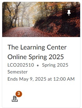 Let us give you a hand with your writing assignments. Submit your paper to the Learning Center Online to get feedback to improve your writing projects. Go to Momentum and look for the course in the picture. Click on the course and you'll find instructions to upload your paper.