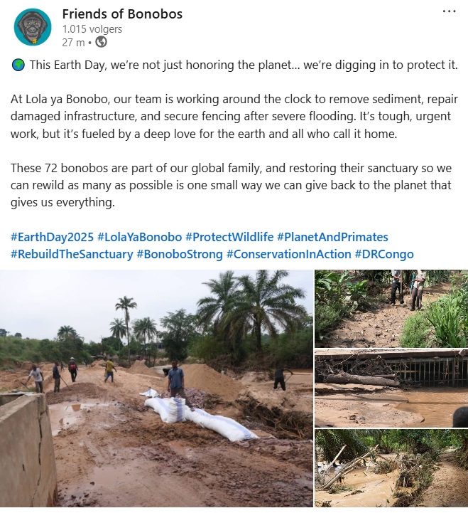 Hans Koppies (@hanskoppies) on Twitter photo “The love for all living creatures is the most noble attribute of man.” - Charles Darwin
Een ramp trof <a href="/Lola_ya_Bonobo/">Friends of Bonobos</a> en met man en macht wordt gewerkt aan het herstel van dit toevluchtsoord voor bonobo's.
bonobos.org/visit-lola-ya-…
#EarthDay2025 “The love for all living creatures is the most noble attribute of man.” - Charles Darwin
Een ramp trof <a href="/Lola_ya_Bonobo/">Friends of Bonobos</a> en met man en macht wordt gewerkt aan het herstel van dit toevluchtsoord voor bonobo's.
bonobos.org/visit-lola-ya-…
#EarthDay2025