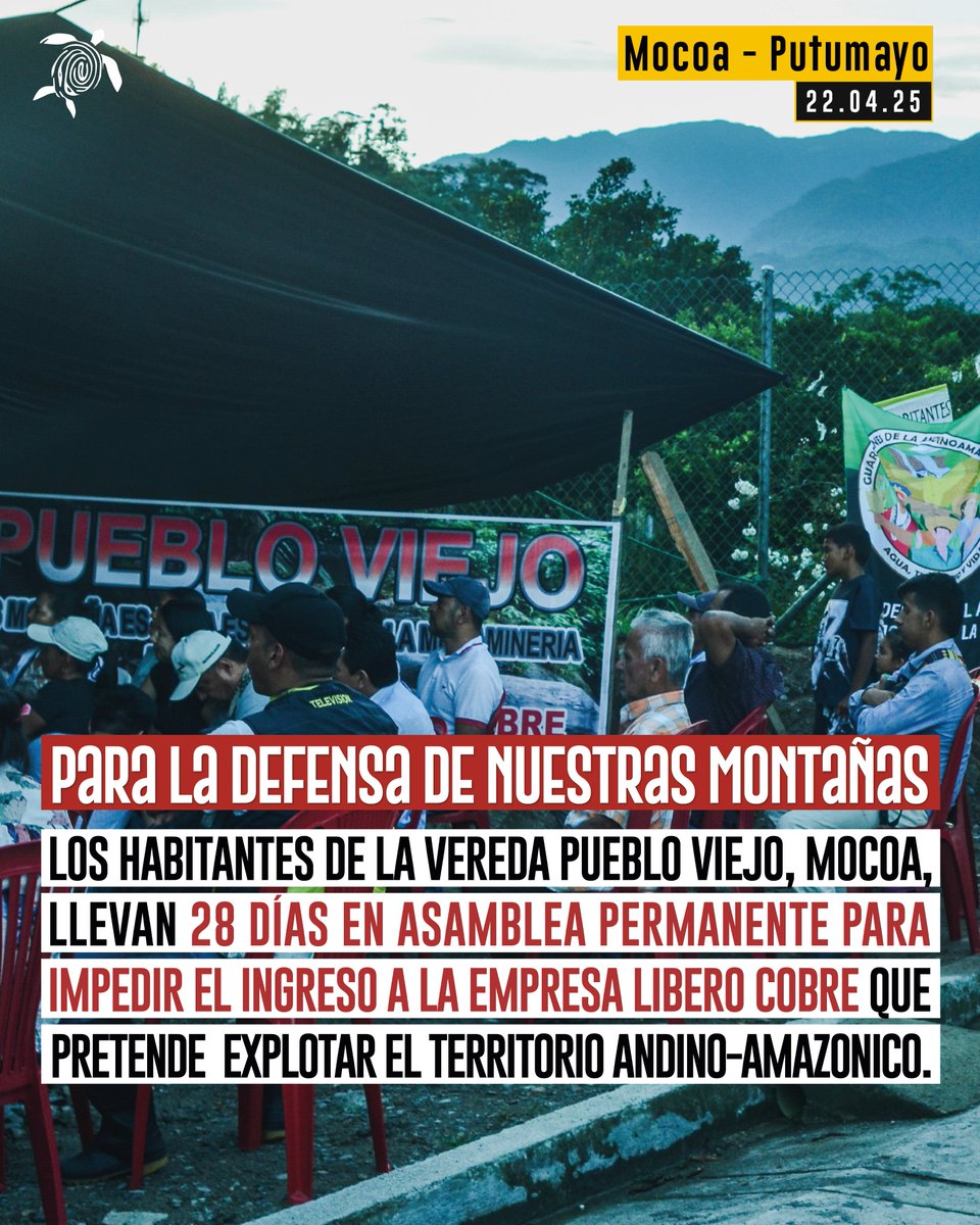 🌀 #MocoaResiste | 28 días de resistencia en defensa del agua y el territorio en las puertas de la Amazonía.

Pueblos indígenas y comunidades campesinas de Pueblo Viejo resisten a la multinacional canadiense 🇨🇦 Libero Cobre en el #Putumayo.

✊ ¡Fuera Libero Cobre de Mocoa!