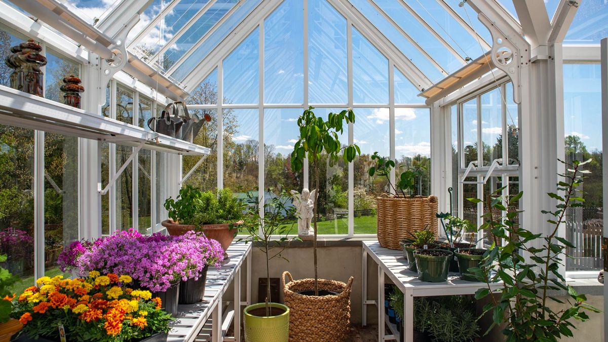 Explore SunWater Farm: Paradise Living in Madison County, VA - mailchi.mp/gayleharveyrea…