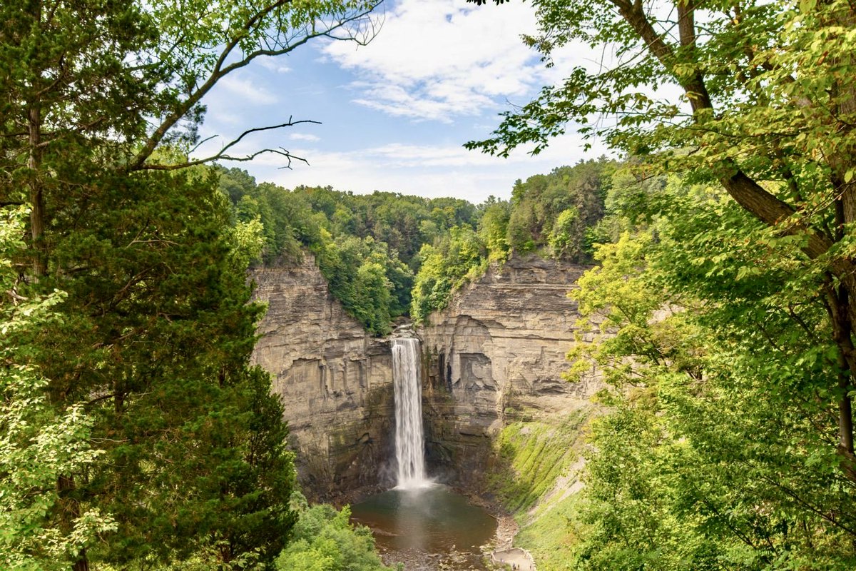 Spring in America:

Finger lakes, New York