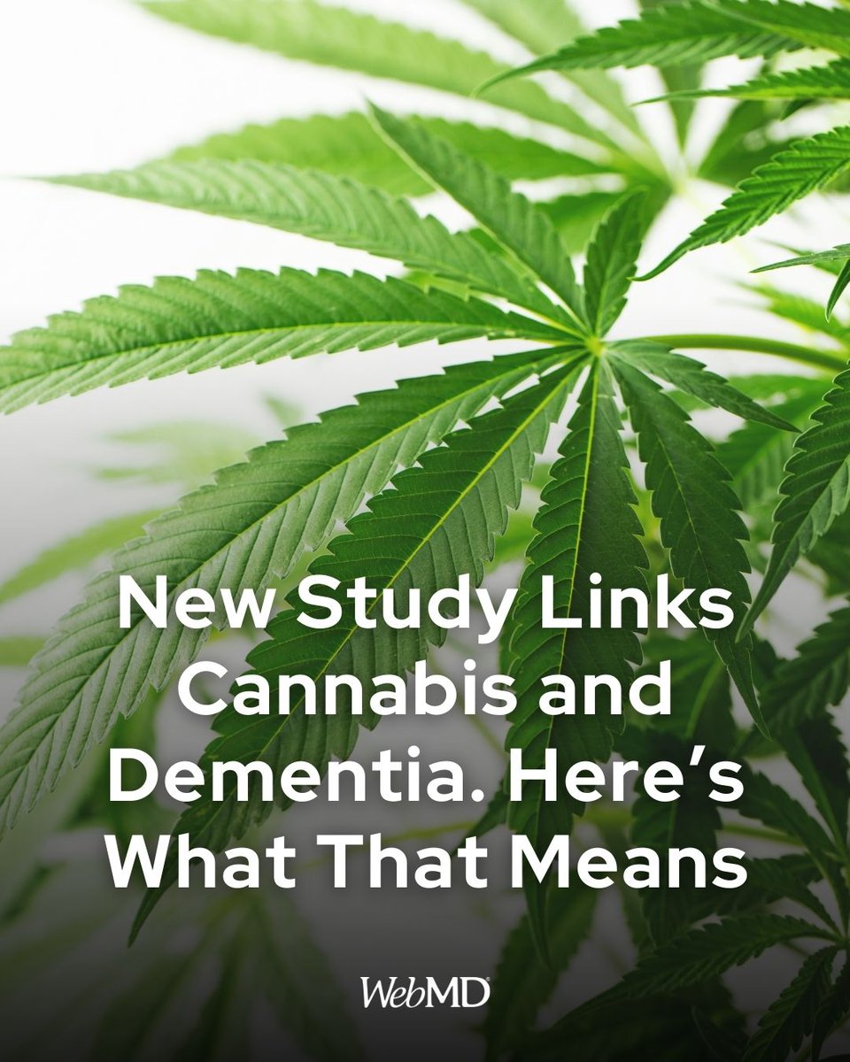 Cannabis users who visited the emergency room or were hospitalized were up to four times as likely as people in the general population to be diagnosed with dementia within five years,  a large new study shows: wb.md/44zJs9W