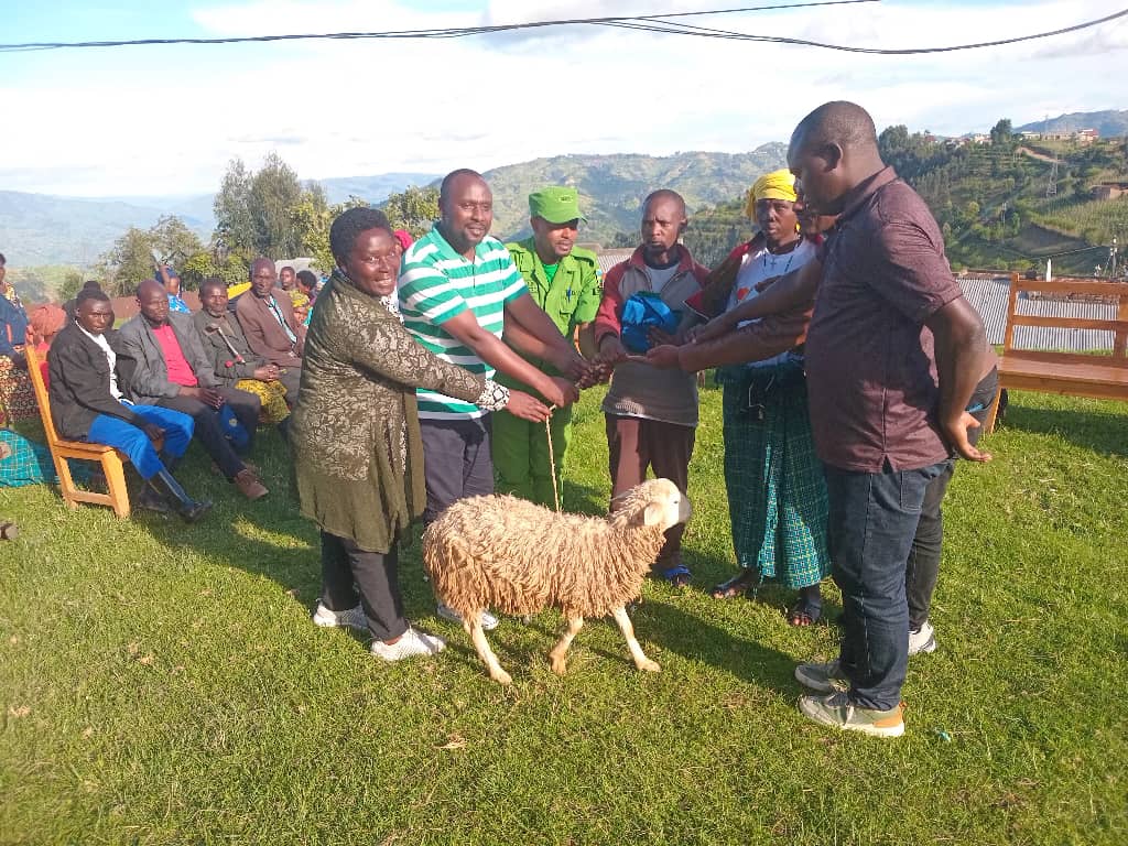 cbomukamira's tweet photo. Kuwa 22/4/025 mu nteko y'abaturage @Murambi cell, #Rurembo sector #MCBO kubufatanye n'ubuyobozi bwa @NyabihuDistrict bashikirije famille ya BASODA Epimaque ibihembo yemerewe na MCBO ku munsi mpuzamahanga w'umugore aribyo #Intama n'Imyambaro, bashimirwa ko bikuye mu makimbirane. https://t.co/oQQ40a2ONt