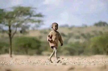 I'm tired of looking for a job. Tomorrow, I'll go to any office and start working. If they take me to police, I'll just start working there too.
It's too much especially from the responsibility wing.