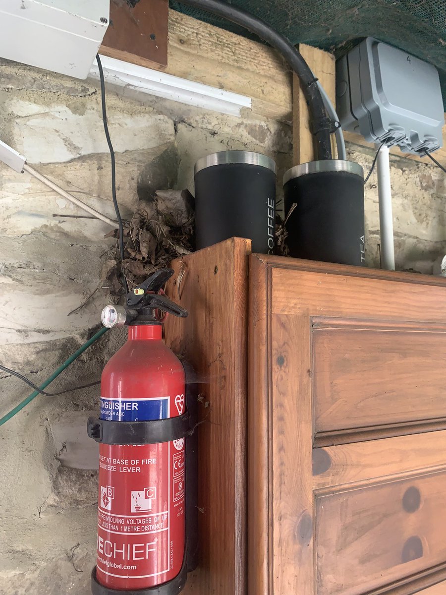 Friends of Farsley Rehoboth (KAVS) (@farsleyrehoboth) on Twitter photo Nesting Robins inside our volunteer’s stone shelter, aptly titled “Robin’s Nest”.
<a href="/farsleyrehoboth/">Friends of Farsley Rehoboth (KAVS)</a> Nesting Robins inside our volunteer’s stone shelter, aptly titled “Robin’s Nest”.
<a href="/farsleyrehoboth/">Friends of Farsley Rehoboth (KAVS)</a>