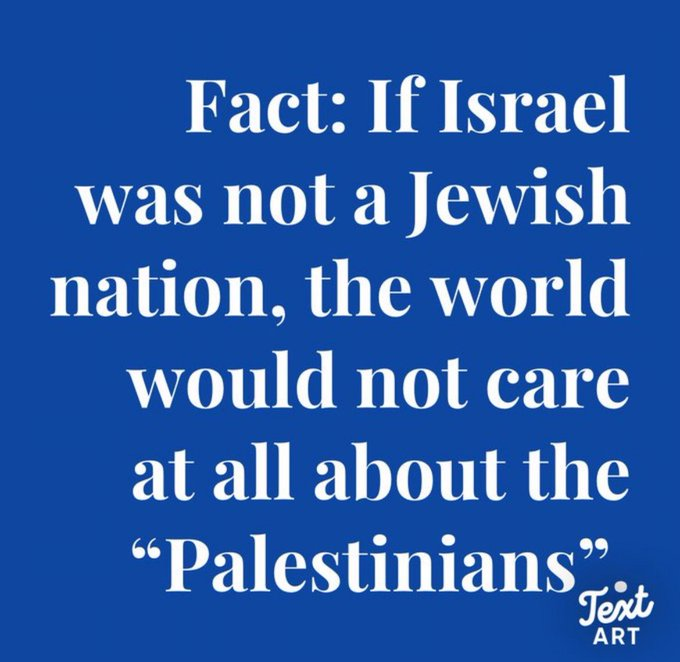 Vivid.🇮🇱 tweet media