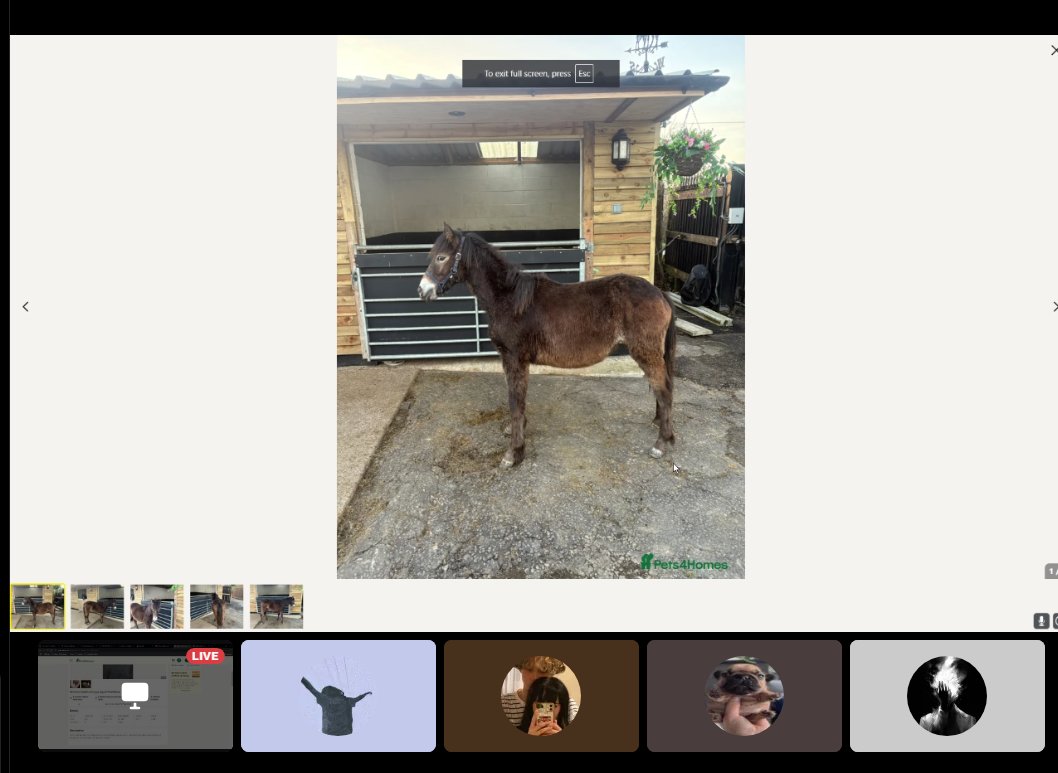 Practice going well pt. 4 (tournament earnings are being spent on a horse)