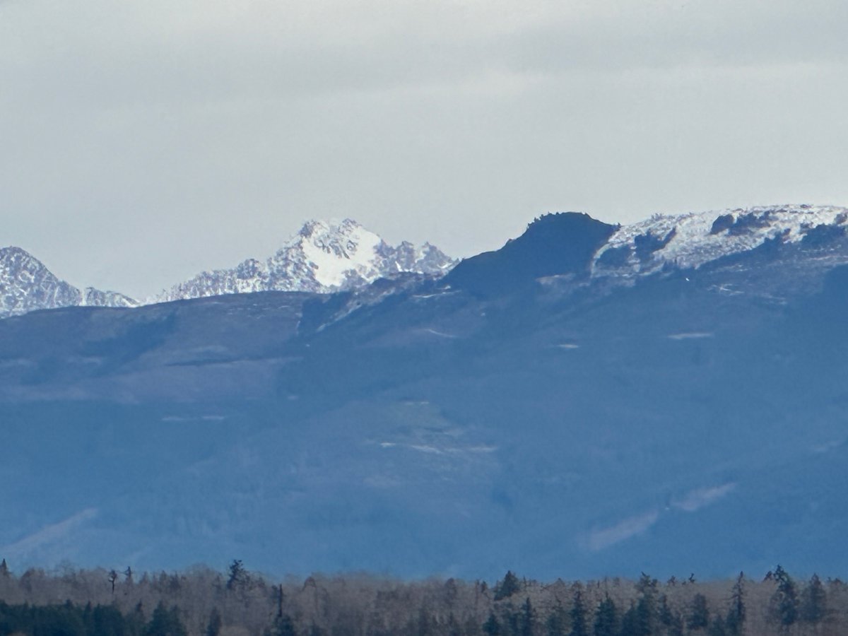 ATSPGroup's tweet image. A late snow in Spring :)

Have a terrific rest of your Tuesday, a wonderful Wednesday ahead friends!