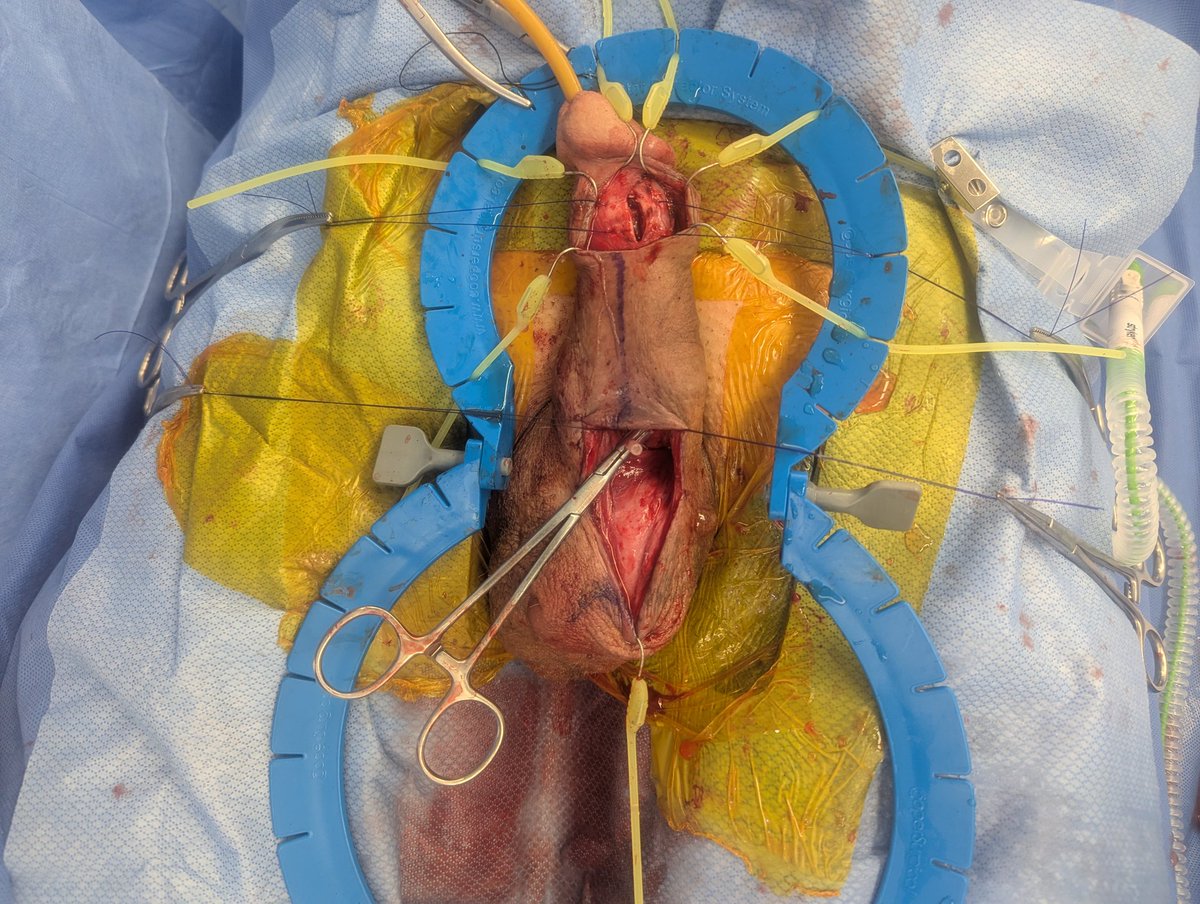 Kirtishri Mishra tweet media