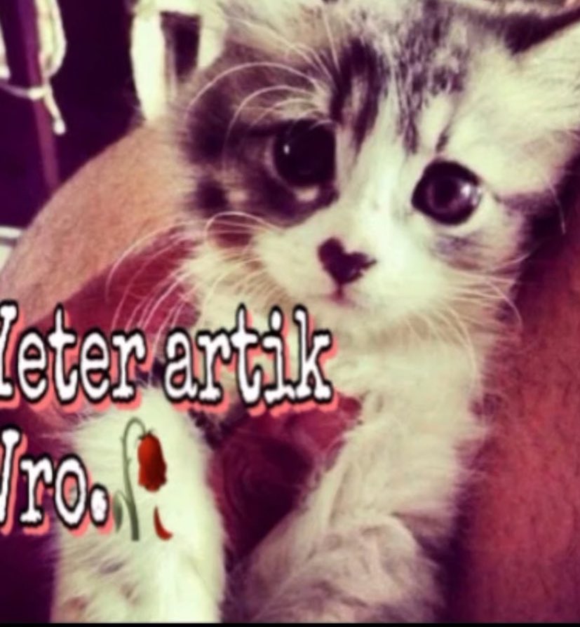 miuvaskimiuv's tweet image. #odev @.imdat yeter😟😣😓😓#belasiversin @.olmekuzerehıssediyor