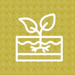 Come celebrate Earth Day tonight!  From 6-8pm, enjoy a concert by AWE'd, meet a master bee keeper, shop a Learning Express popup, get your face painted, and enjoy free giveaways.