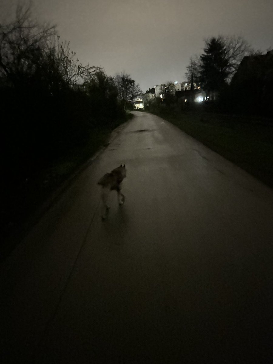 prtiVAL's tweet image. 🌧️