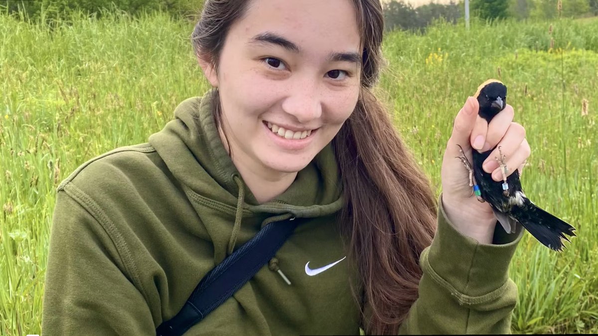 SUNY Oswego (@sunyoswego) on Twitter photo A student-faculty project is taking flight at SUNY Oswego! π¦
Zoology major Nikki Knecht is studying bird habitats created on campus for Quest 2025, building on work by professor Baldassarre (<a href="/evornithology/">Dan Baldassarre</a>). π¦
π₯ Watch the story: bit.ly/44yE0UM A student-faculty project is taking flight at SUNY Oswego! π¦
Zoology major Nikki Knecht is studying bird habitats created on campus for Quest 2025, building on work by professor Baldassarre (<a href="/evornithology/">Dan Baldassarre</a>). π¦
π₯ Watch the story: bit.ly/44yE0UM