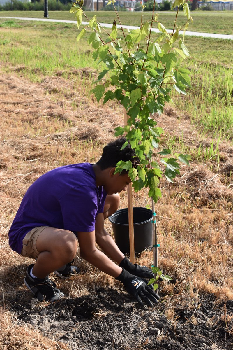 Pinellas County Schools tweet media