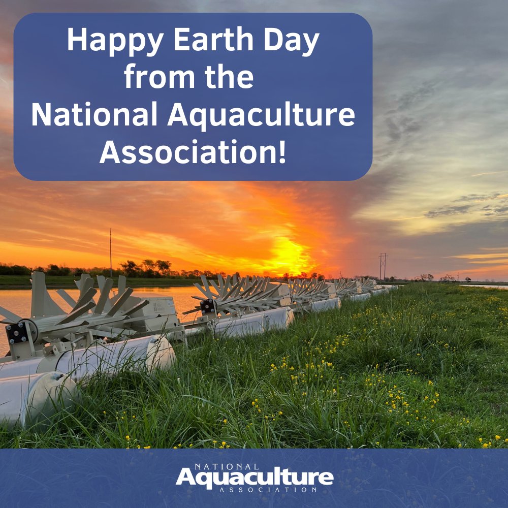 🌍🐟 Happy Earth Day! Today, let's celebrate the power of sustainable U.S. aquaculture! U.S. farmers are helping feed the future and protect the planet. 💚Buy America seafood and support a greener earth!

#usaquaculture #aquaculture #EarthDay #SustainableSeafood #BlueEconomy