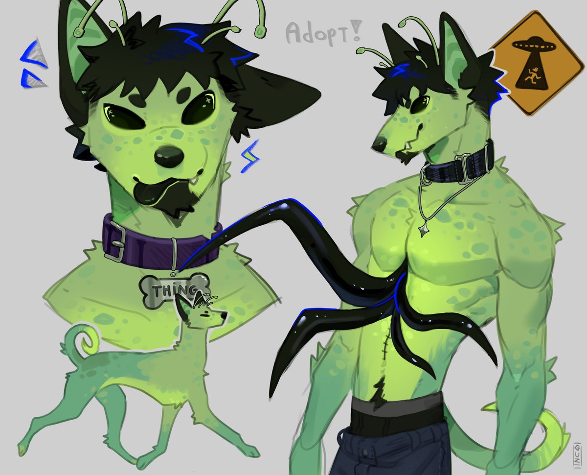 👽alien dog👽 +info below