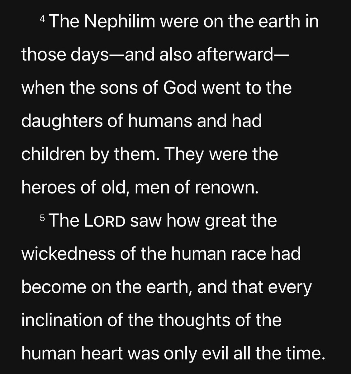 TheNodeCatcher's tweet image. 