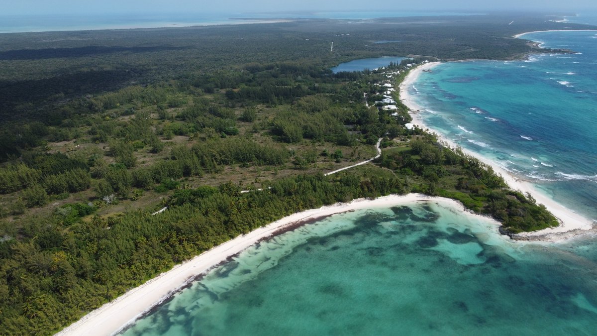 RTJ2GolfDesign's tweet image. Ground has broken at Cotton Bay in Eleuthera, Bahamas—future home to a Ritz-Carlton Reserve and an RTJ II-designed, sand-based golf course inspired by the great sandbelt classics. It will feature a Himalayas-style social green, flexible family course, and practice facilities.