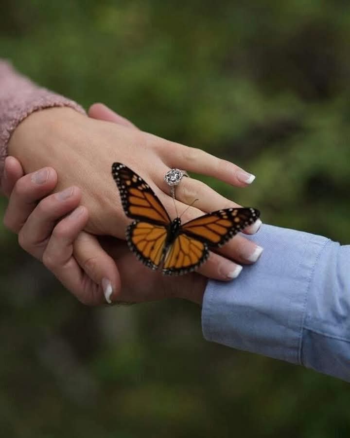 احيانا نتامل
ماحولنا فندرك
أن لاشئ
يبقئ علئ حاله
هل هو الزمن
أم نحن الذين تغيرنا