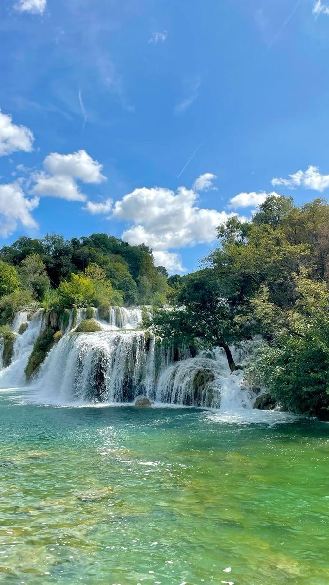 greenvibe's tweet image. 