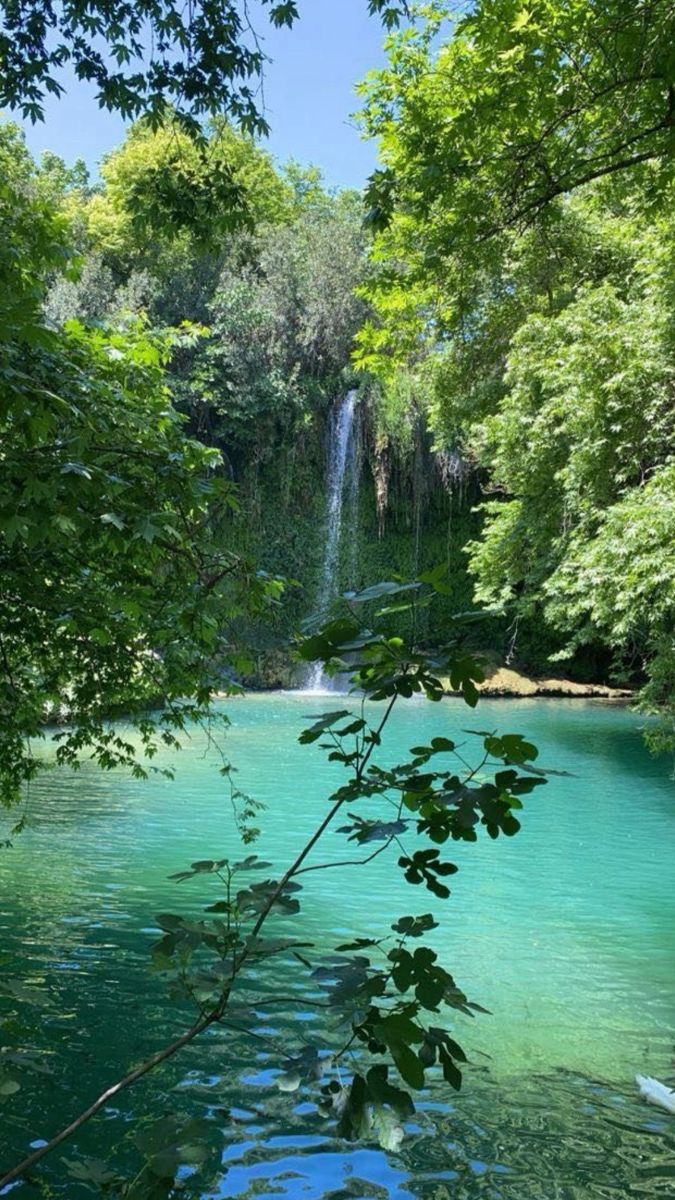 greenvibe's tweet image. 