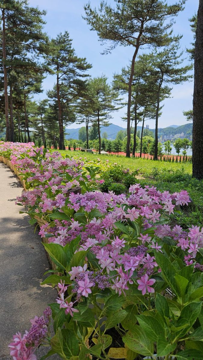 greenvibe's tweet image. 