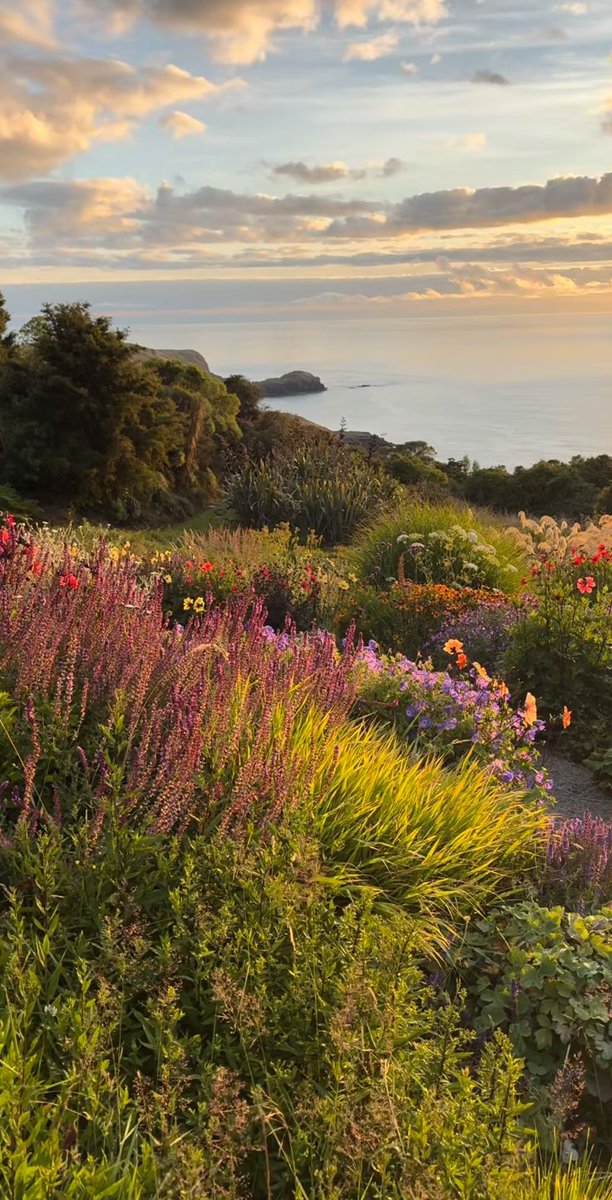 greenvibe's tweet image. 