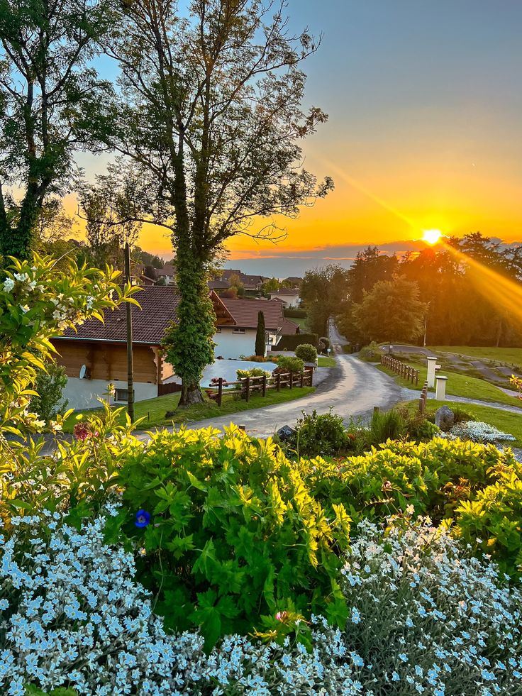 ᅠ ᅠ (@greendreaams) on Twitter photo 