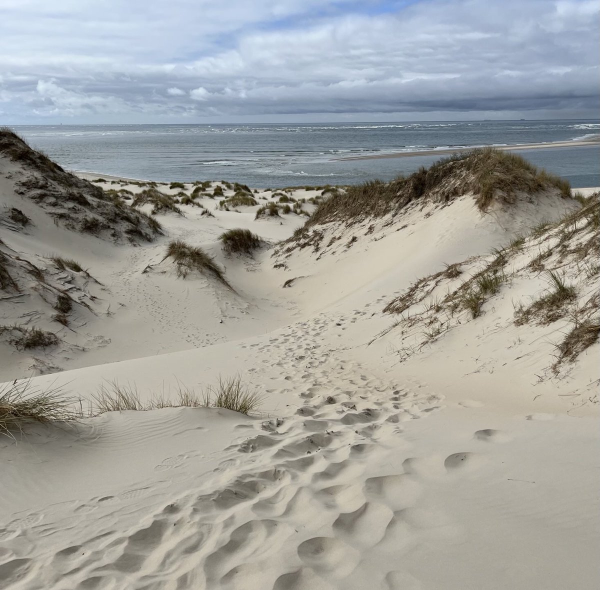 Zandpad #Terschelling