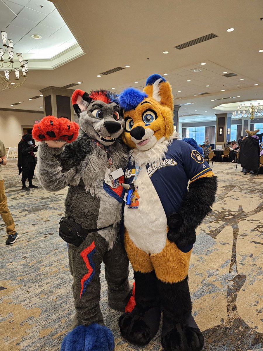 Got to say hi to <a href="/xPewin/">Pewin 🔜 Bed</a> at #TFF2025, always great to see him!
#furry #tummytuesday