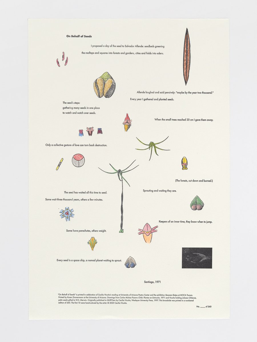 Cecilia Vicuña’s poem “On Behalf of Seeds” proposes a day where seedbeds turn cities and fields into edens

This #EarthDay imagine your own day of seeds—whether they grow in 3 minutes or 3000 years, what future will you sow?

🌱 bit.ly/4jiXkd7